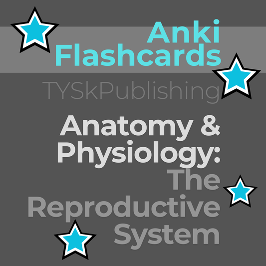 Anatomy and Physiology-The Reproductive System-Anki Flashcards TYSKPublishing