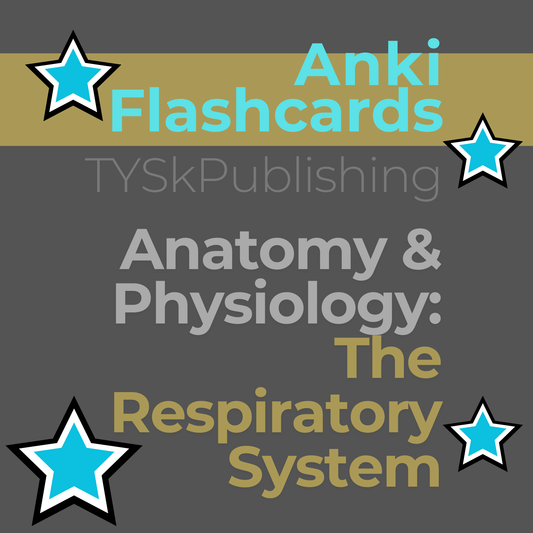 Anatomy and Physiology-The Respiratory System-Anki Flashcards-TYSKPublishing