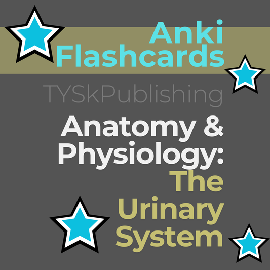 Anatomy and Physiology-The Urinary System-Anki Flashcards TYSKPublishing